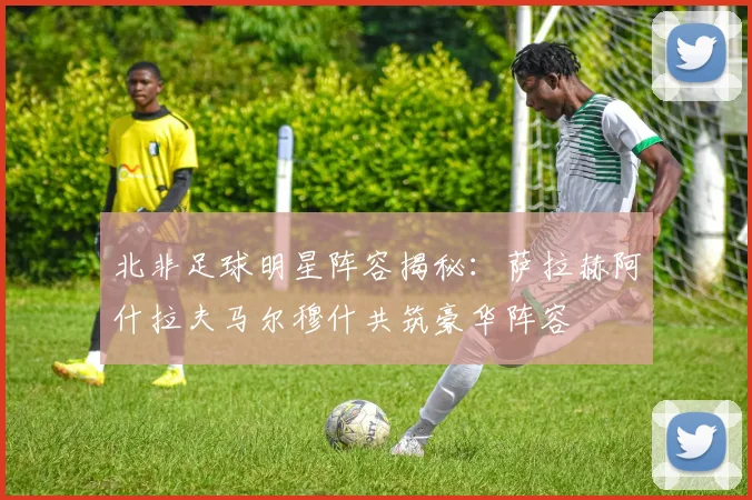 北非足球明星阵容揭秘：萨拉赫阿什拉夫马尔穆什共筑豪华阵容